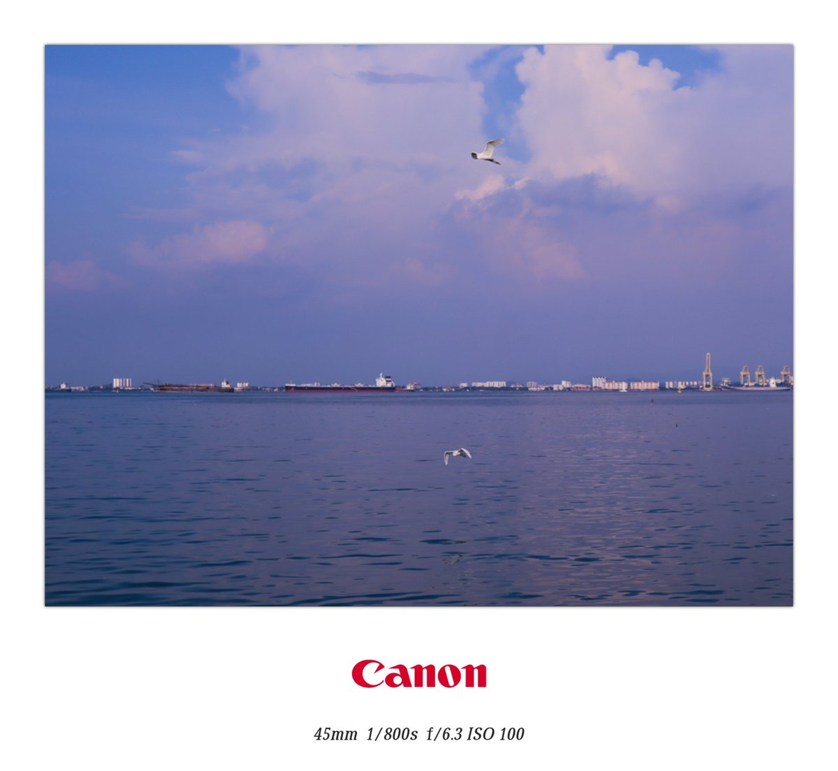 http_me1's tweet photo. cool tone🔵

#PHOTOS #Adobe #Adobelightroom #canon #canonphotography #Blue #SEA https://t.co/p1QmCoQpt7
