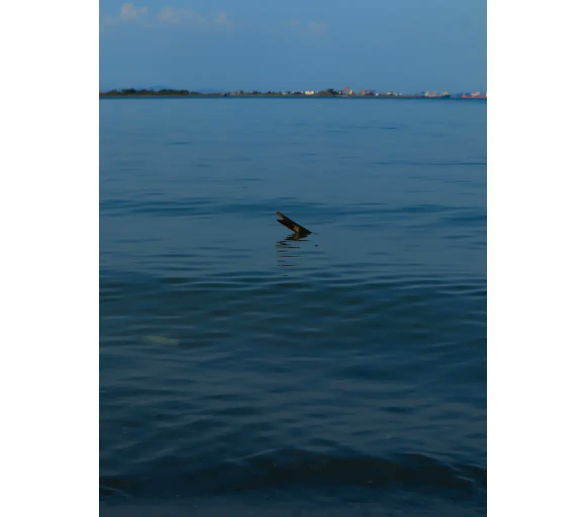 http_me1's tweet photo. cool tone🔵

#PHOTOS #Adobe #Adobelightroom #canon #canonphotography #Blue #SEA https://t.co/p1QmCoQpt7