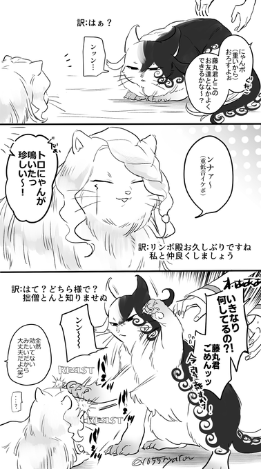 続いた🐱 