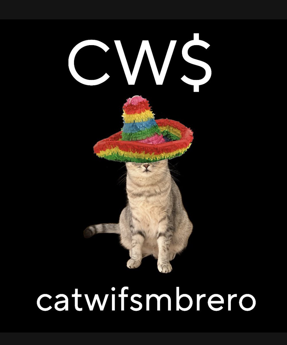popeyespinachc's tweet image. Soon @ BASE 🚀

Cat wif Sombrero

a real existing cats world

👇🏻👇🏻

RAWT

—-&amp;gt; a real animal worlds token !

#Nevi_thecat 
#baseblockchain #BaseMemecoin #basecrypto #BaseChain #memecoin #Memecoin2024 #l7_global @L7_Global @CoinMarketCap @CoingraphNews
