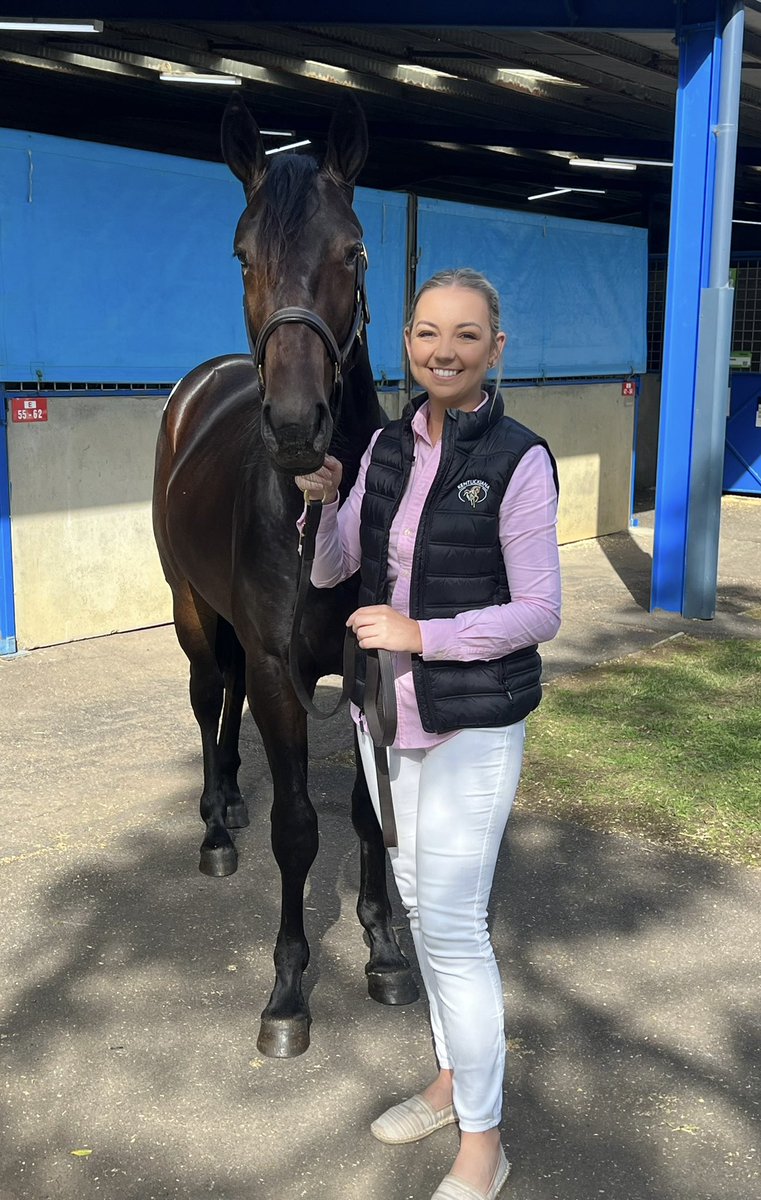 So excited to purchase two lovely trotting colts with my friend @NancyTakter today to race here in Australia 🇦🇺 Lot 175 - a Majestic Son full brother to Alpha Male and 1/2 to Timothy Red Lot 234 - this stunning Elite Stride colt from an unreal family across the page