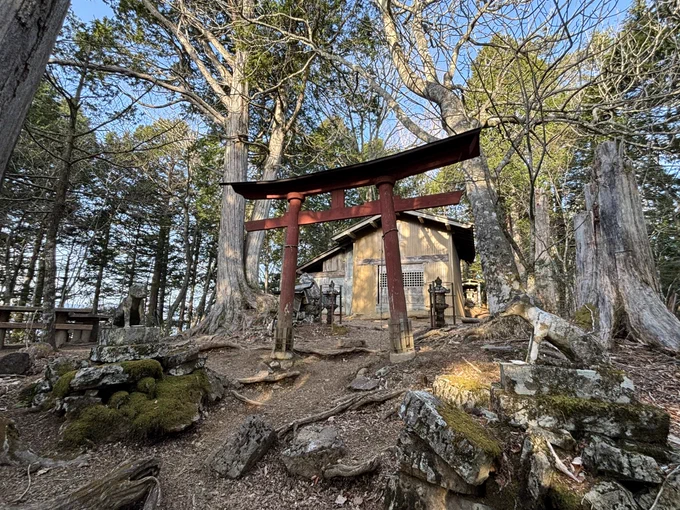今日は奥秩父の両神山に行きました。富士山の頭がうっすら見えています(3枚目)アカヤシオはこれから見頃かな 