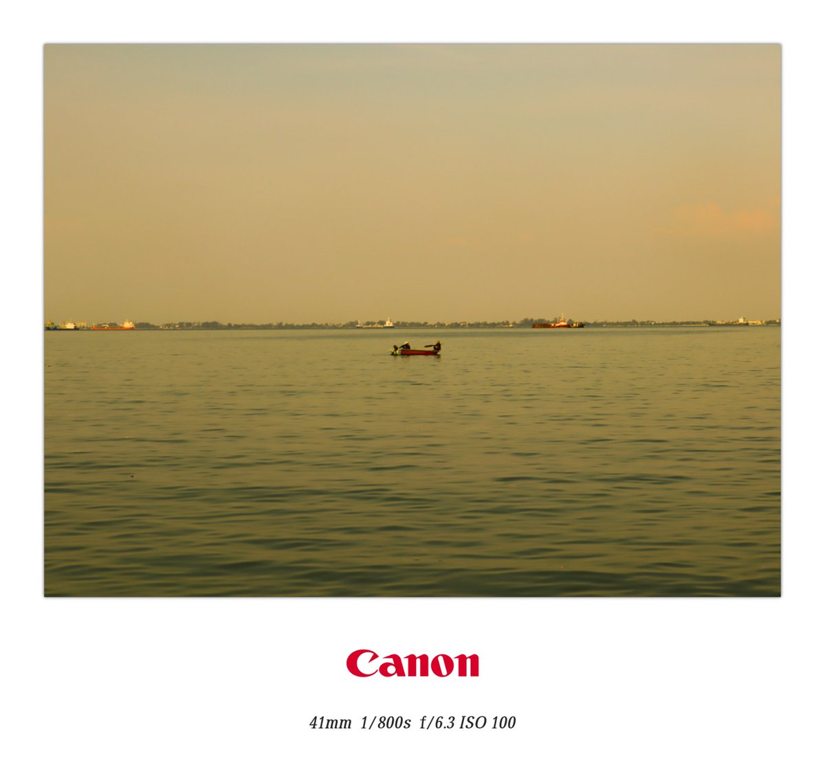 http_me1's tweet photo. golden hour🟡

#PHOTOS #Adobelightroom #edit #warmcolor #canonphotography #canonMalaysia #vibe #fypシ #photography https://t.co/GtyvTcguf6