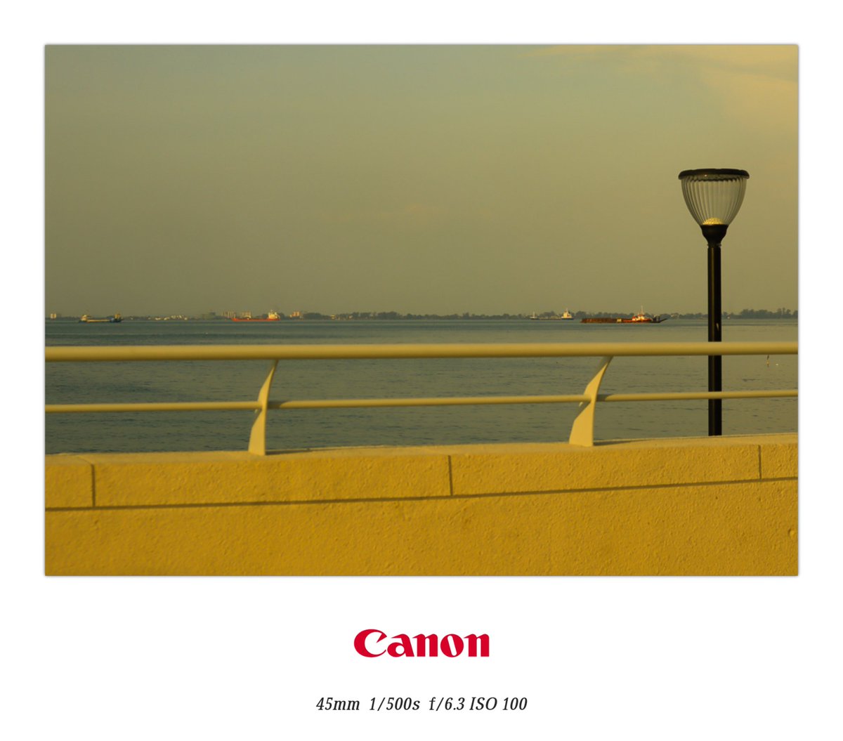 http_me1's tweet photo. golden hour🟡

#PHOTOS #Adobelightroom #edit #warmcolor #canonphotography #canonMalaysia #vibe #fypシ #photography https://t.co/GtyvTcguf6