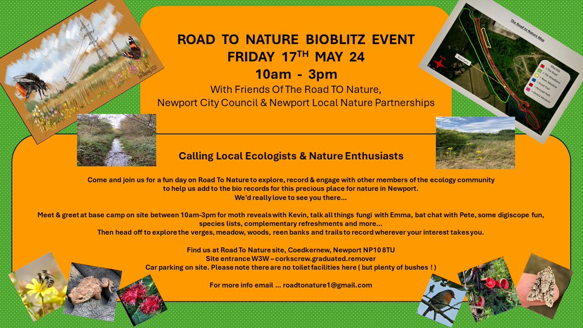 Bioblitz Road To Nature👇Good to meet up with local ecologists/nature enthusiasts to add to site records & find some new to site species! If interested,email so we can keep you updated Please circulate..@NewportCouncil @SEWBReC @GwentLevels @RSPBNewport @GwentWildlife @GOS_birds
