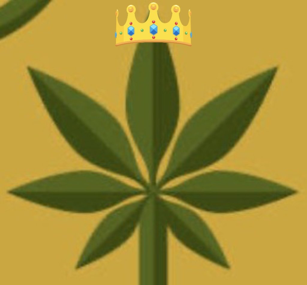 Usuarias y usuarios de Cannabis, ya sea terapéutico, recreacional o para lo que os dé la gana.
Necesitamos recoger las 15.000 firmas xa poder presentar la candidatura de <a href="/LuzverdeRc/">LuzVerde.PC</a> en las elecciones europeas.
Nos jugamos mucho!
Hay que acabar ya con las injusticias Cannabicas
👇🏼