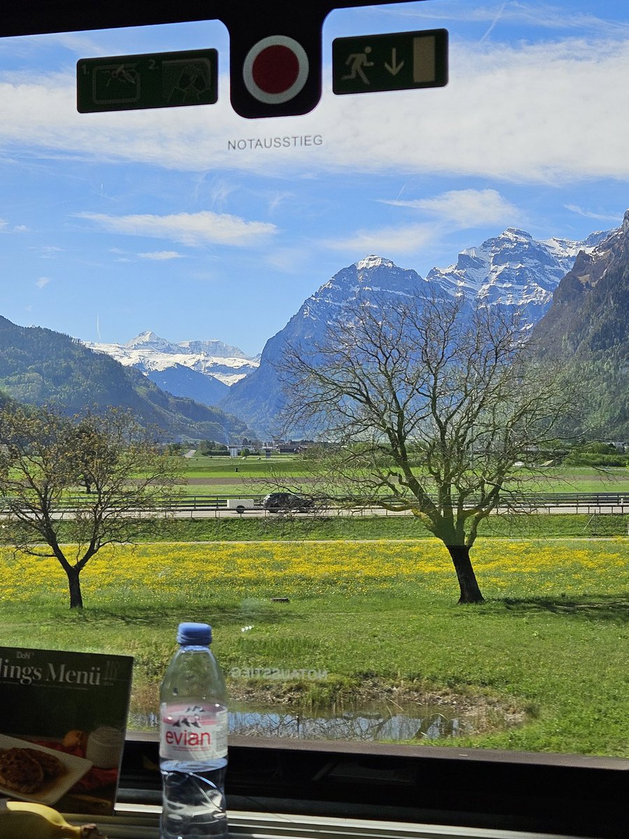 jacopo.riboldi tweet media