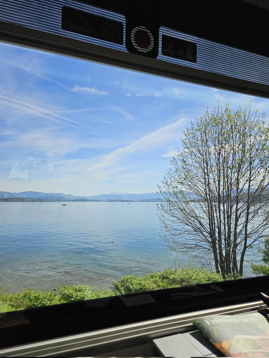 jacopo.riboldi tweet media