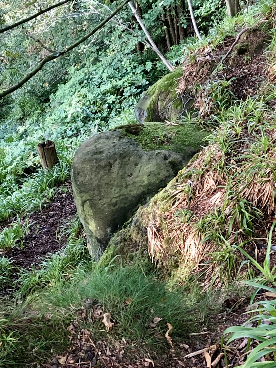 Rowtor Rocks in Derbyshire is an unusual place, natural rocks formations carved into mystical shapes in the late 18thc. But it seems to have been an important site much earlier, with Bronze age carvings, like this rare quarter-sun, still visible on the stones #StandingStoneSunday