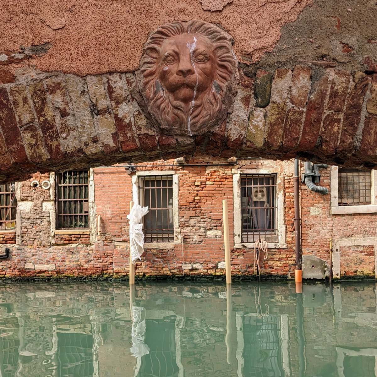 Leone in tondo #venezia #venice #veneziagram #veneziaunica #igersvenezia #veneziadavivere #travelphotography #venise #picoftheday #architecture