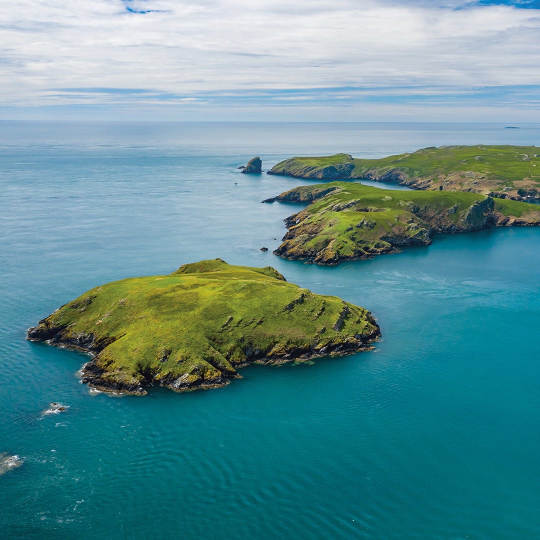 Ever been to #SkomerIsland? 🐦️⁠
⁠
This #NatureReserve attracts masses of wildlife inc puffins and June is one of the best times to visit to sightsee them. Where to stay: l8r.it/GTk5
⁠
#visitpembrokeshire #visitwales #coastalcottages #nature