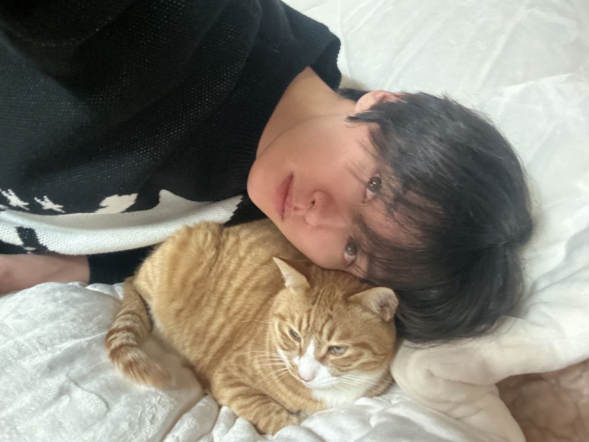 раз кот🐈‍⬛ два кот 🐈