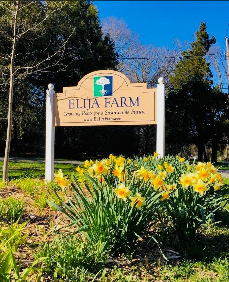 Happy #NationalGardeningDay from @ELIJAFarm 🌻🍅 #discoverlongisland⁠ ⁠ ELIJA Farm offers an abundance of freshly picked veggies & colorful flowers to local families and organizations.⁠ ⁠ Here's to the ones who make the world a little greener! 🌿💚 discoverlongisland.com/listing/elija-…