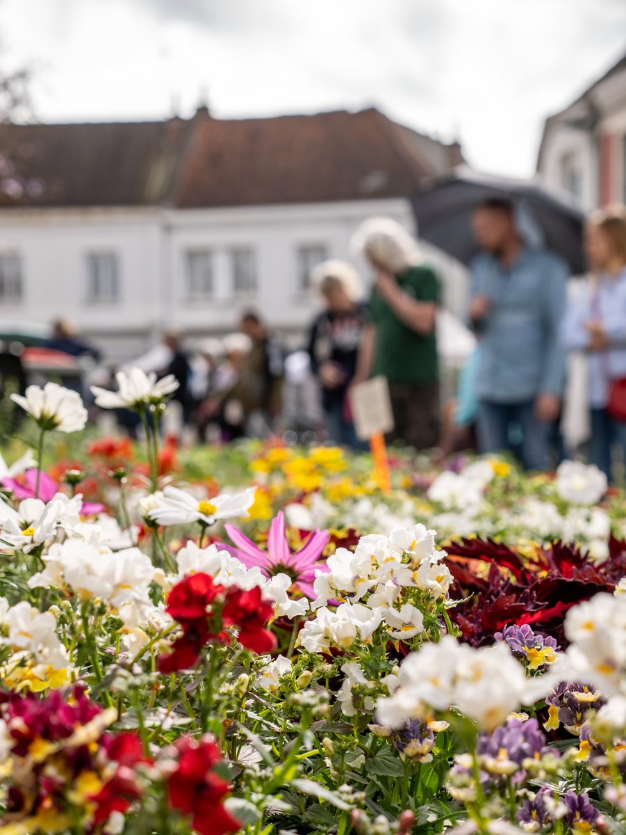 villedouai's tweet photo. #JournéeVerte C’est parti pour une journée fleurie et ensoleillée à #Douai !
Dès maintenant et jusqu‘à 18h, nous vous donnons rendez-vous place Saint-Amé  !
Tout le programme sur https://t.co/CYOzAOWVhV
#evenement #douaimaville https://t.co/JzwDeQp9uL