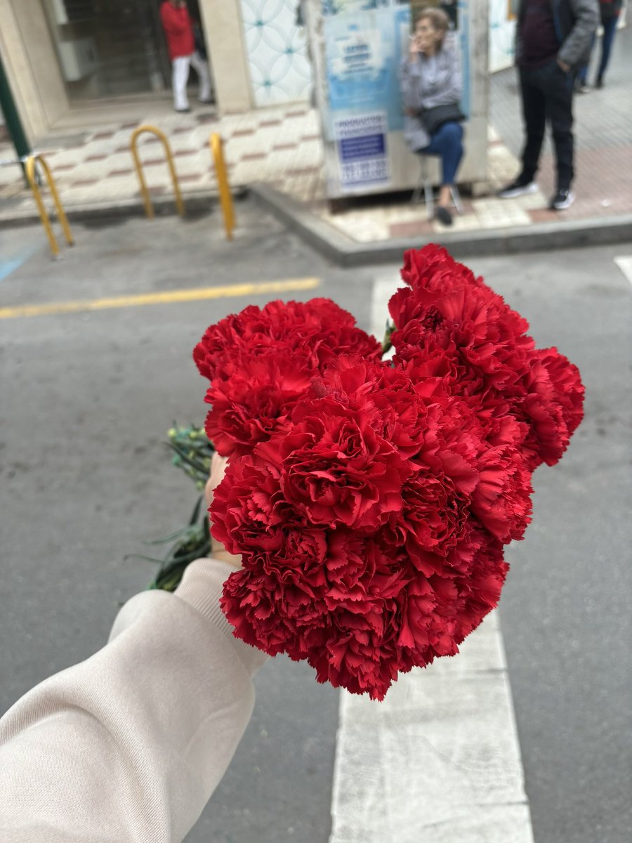 gemazambrano3E's tweet photo. #didgeometria3E #geometriacofrade3E no podemos estar hablando de semana santa, y que los claveles rojos no tengan presencia. Aquí os dejo una foto de mis claveles para el traslado del cautivo, son todos semejantes y olían que te morías, promesa cumplida y foto subida. https://t.co/ry30L8zHBS