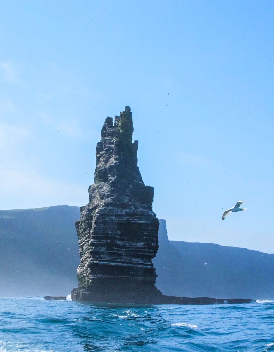 Take a boat trip on the #WildAtlanticWay in #CountyClare and glide by the sea stacks in Doolin💚 📸 Doolin Tourism #FillYourHeartWithIreland #Doolin #WildAtlanticWay #CliffsOfMoher