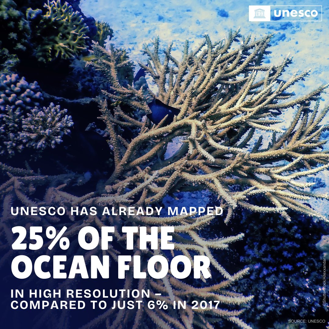 🗺️ 25% of the ocean floor has been mapped in high resolution by @‌UNESCO & @IHOhydro! It is a crucial step to advance scientific knowledge and safeguard marine ecosystems & human communities. To #SaveOurOcean, we must understand it: unes.co/rz3274 #OceanDecade2024