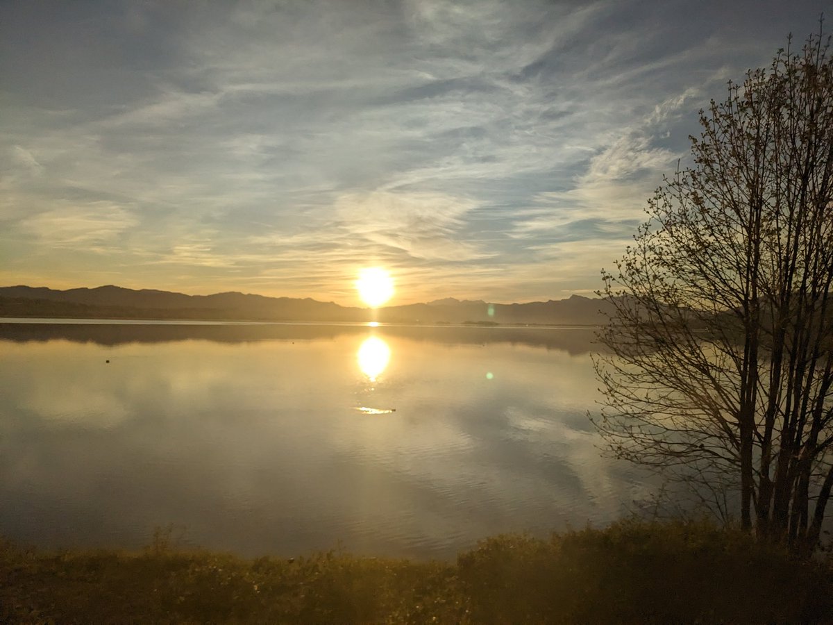 Robert Jnglin Wills tweet media