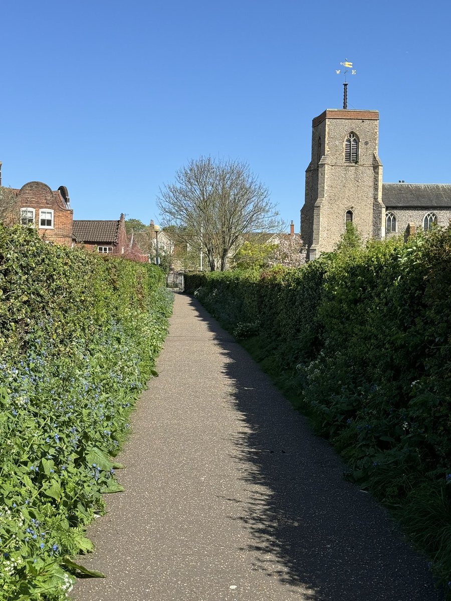 Gooseberry Walk this morning #Norwich