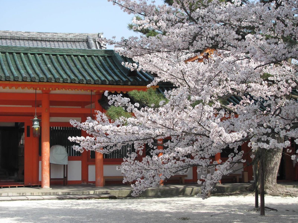 Hanami in Kyoto, April 2011 🌸