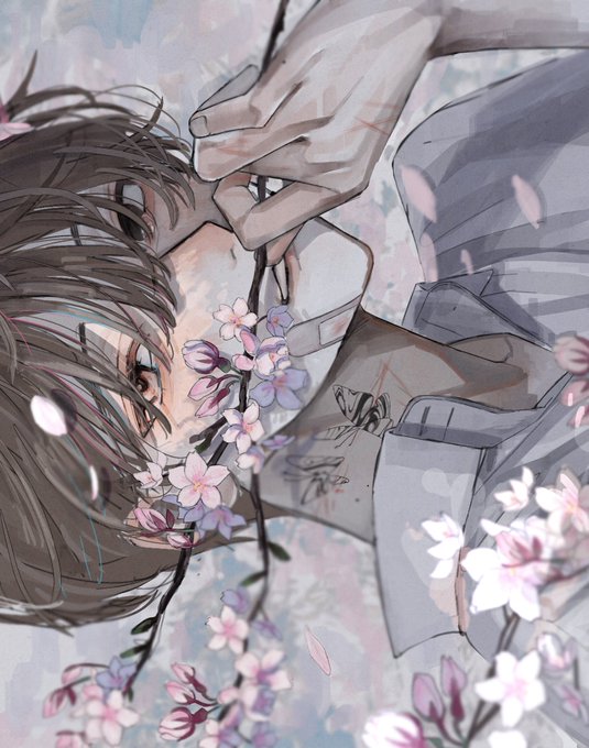 「falling petals pink flower」 illustration images(Latest)
