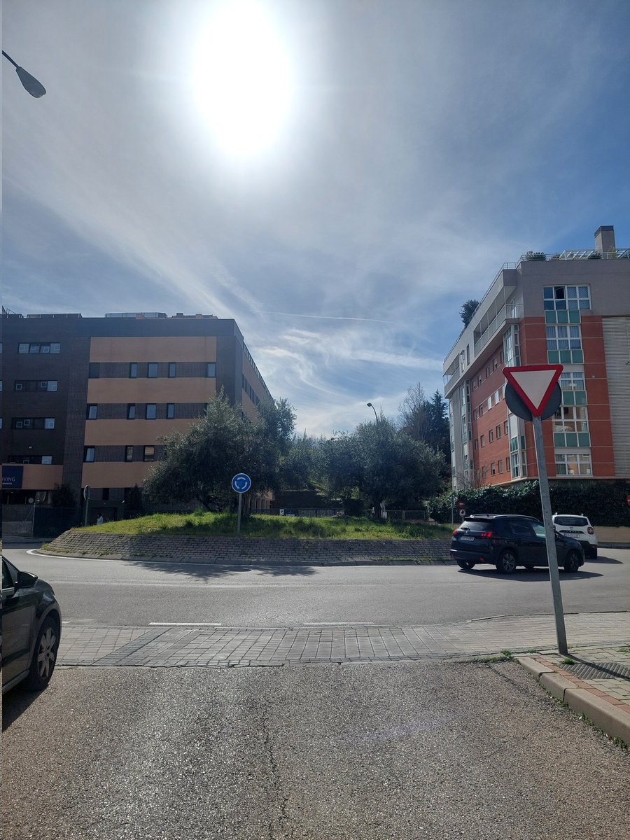 Sonia Got tweet media