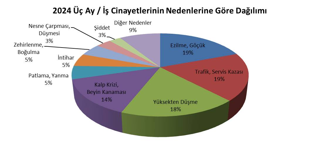 ****Ocak-Şubat-Mart iş cinayetlerinin nedenlerine göre dağılımı..