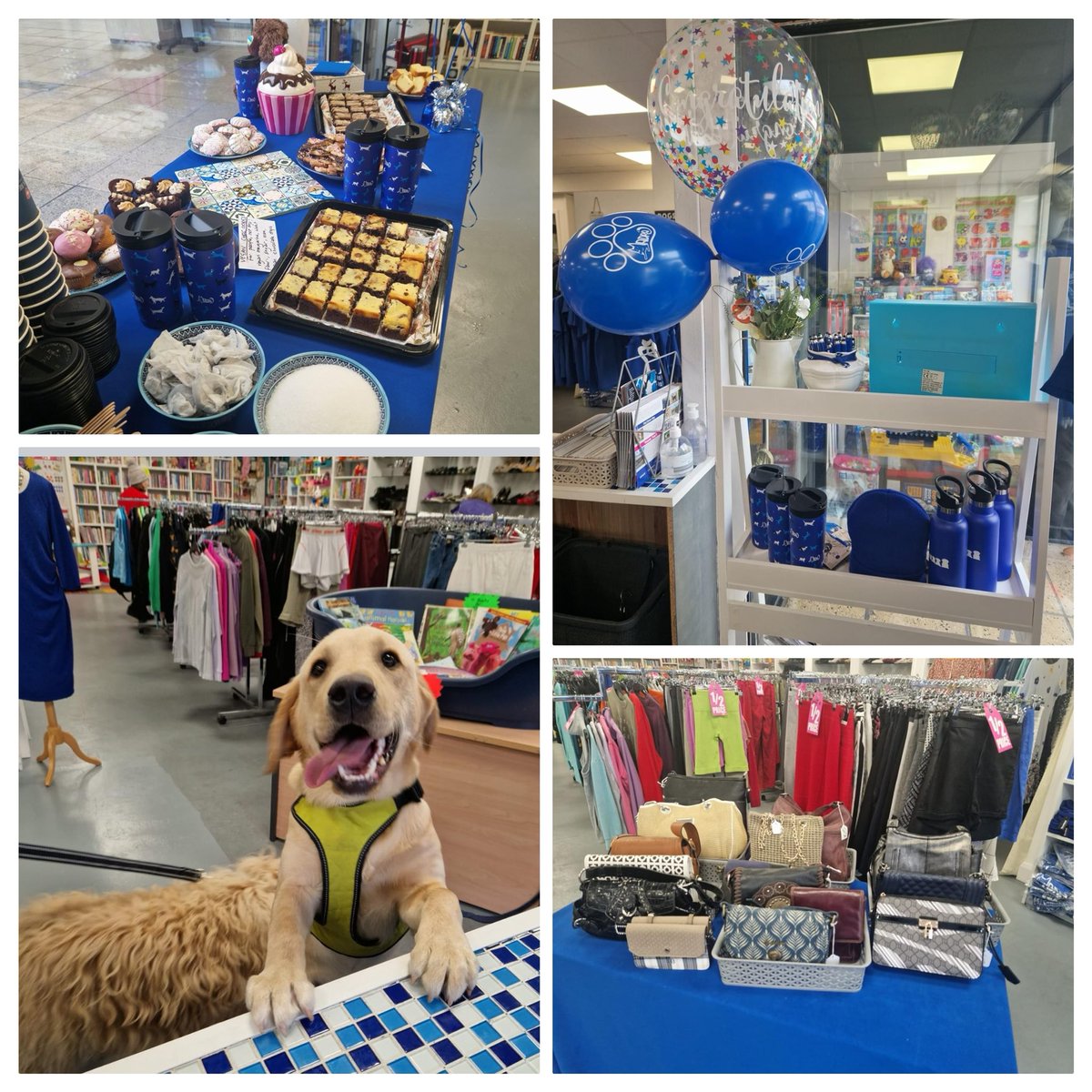 Join us today to celebrate our 1 yr anniversary in our fabulous revamped MADRA shop beside Supervalu in #Moycullen 🎉 We’ll have party vibes with coffee and cake, half-price & €1 sale A fun-filled kiddies corner, family and #dogfriendly Open 11am- 4pm 📚👠👗🛍️🐕