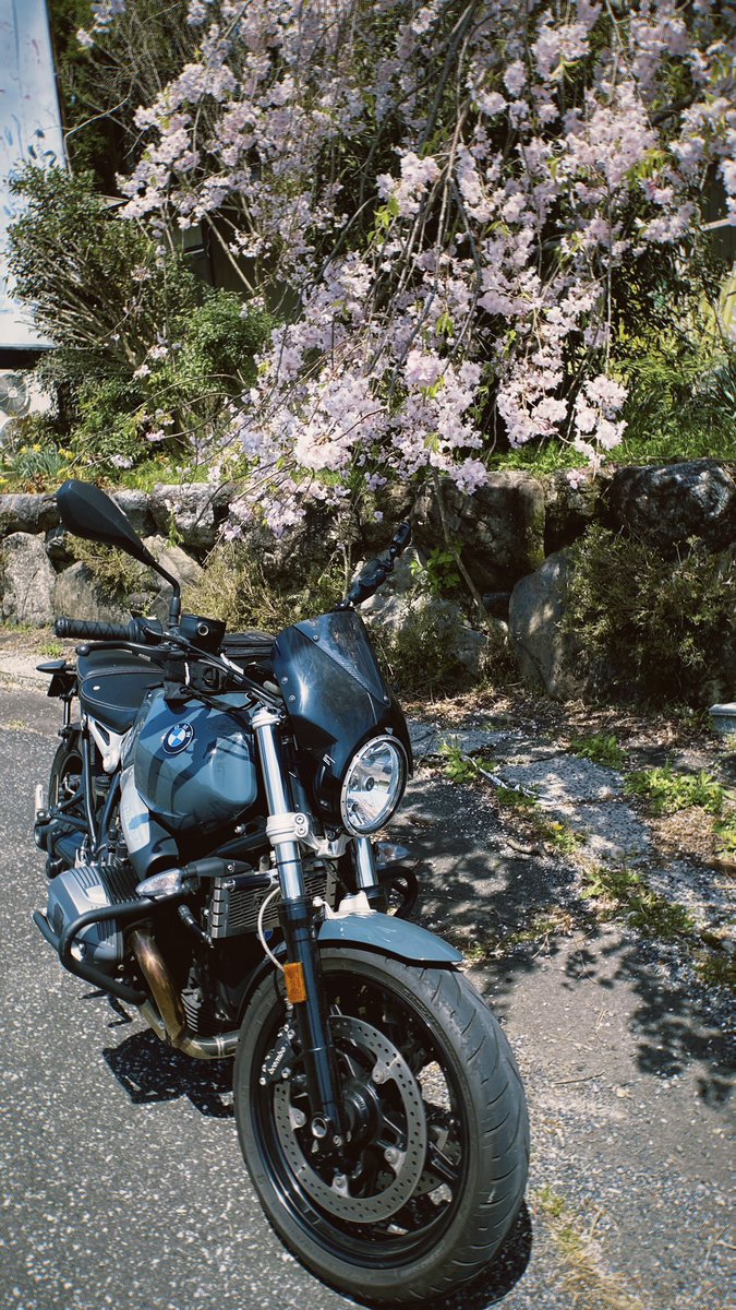 🌸🍃
#rninet