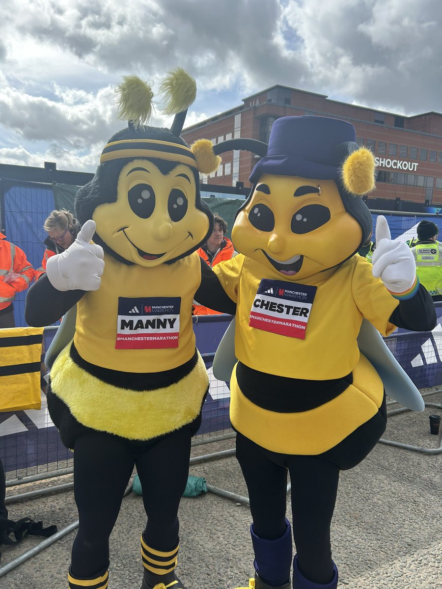 The Manny and Chester bees are here at the finish line! @MENnewsdesk @Marathon_Mcr #ManchesterMarathon