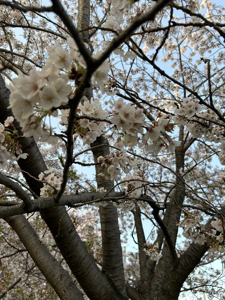 散歩から帰宅！遠くに行きすぎて帰り真っ暗だった😂