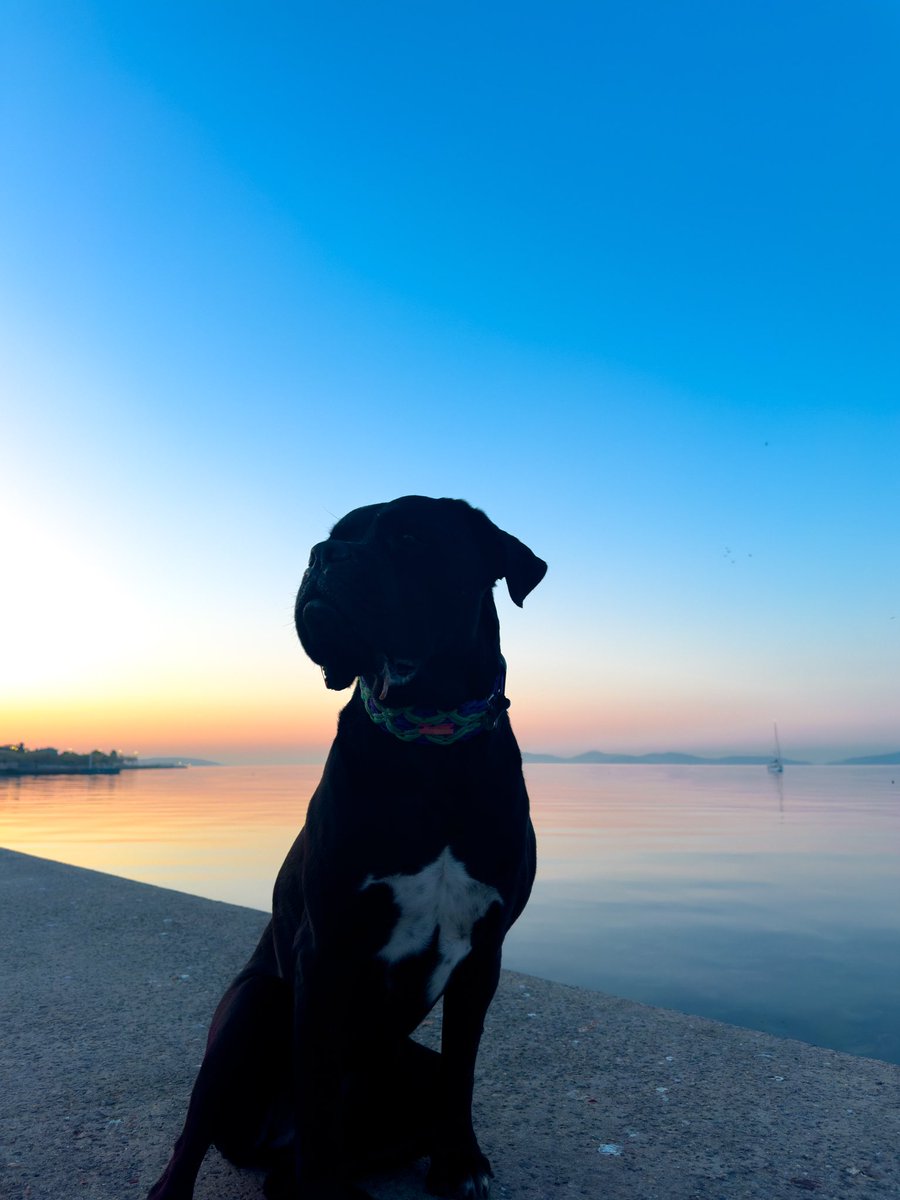 ✨📸💙
w <a href="/taroemir/">Taro Emir Tekin</a>