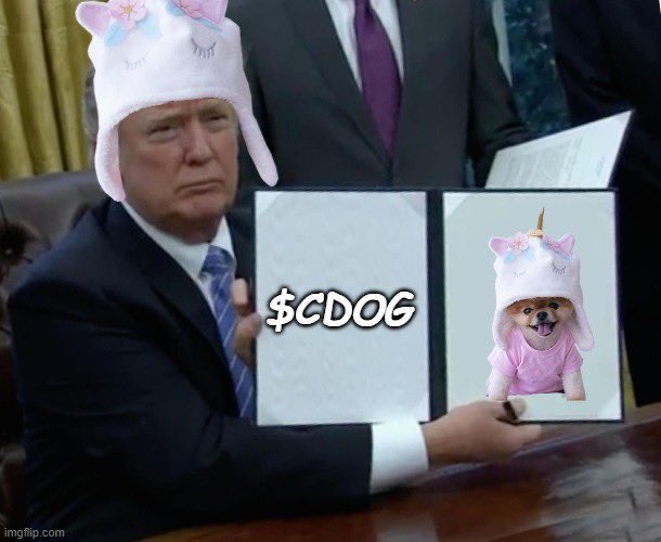 CornDogSolana's tweet photo. @SharkCatSolana https://t.co/GDuidmcrz8