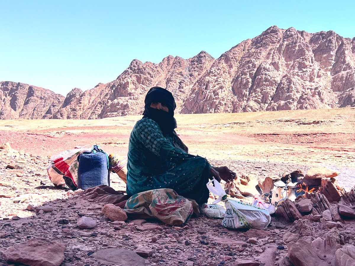 Aya ElGebeely 👩🏻‍💻 tweet media