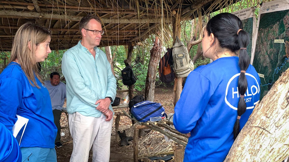 Thank you to UK Ambassador @DavidLelliottUK for visiting our Mangrove Conservation project in #ElSalvador's Xiriualtique-Jiquilisco Biosphere Reserve, alongside 17 local reforesters. 🇸🇻 HALO is proud to support climate change adaptation in conflict-affected communities.