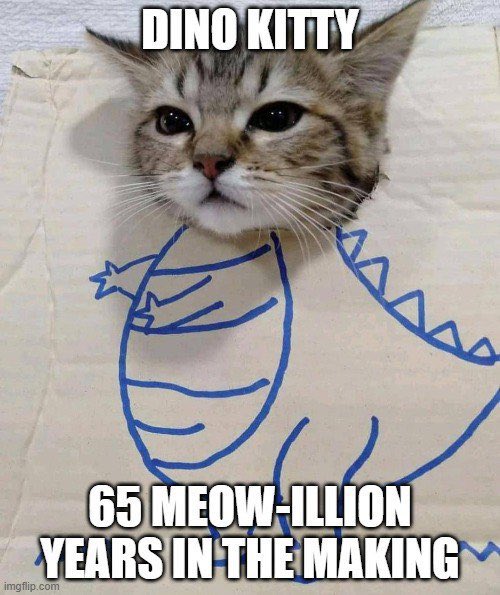 Cfgpr0xE \| ・vvvv・ |/ tweet media