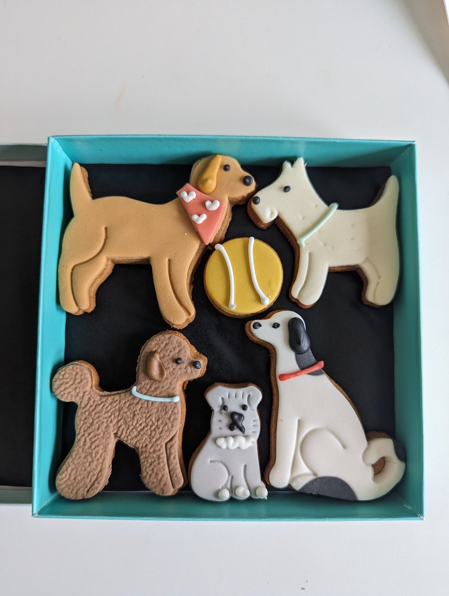 Some lovely biscuits from my publisher to celebrate the release of There's Nothing Cuter Than a Puppy. Possibly too cute to eat though