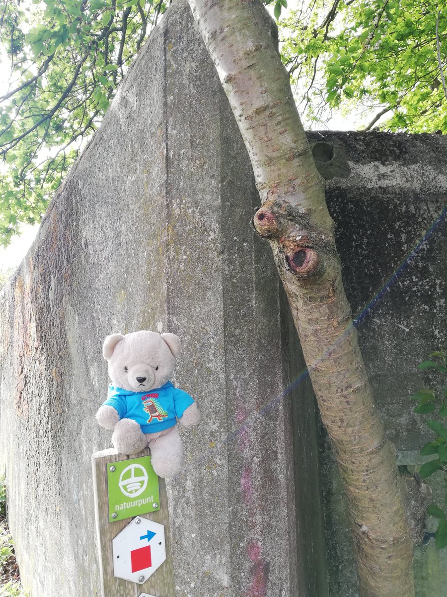 boeleke_op_reis's tweet image. Short walk today in the Gasthuisbossen. Starting point is a German bunker. #walkingisfun #natuurpunt