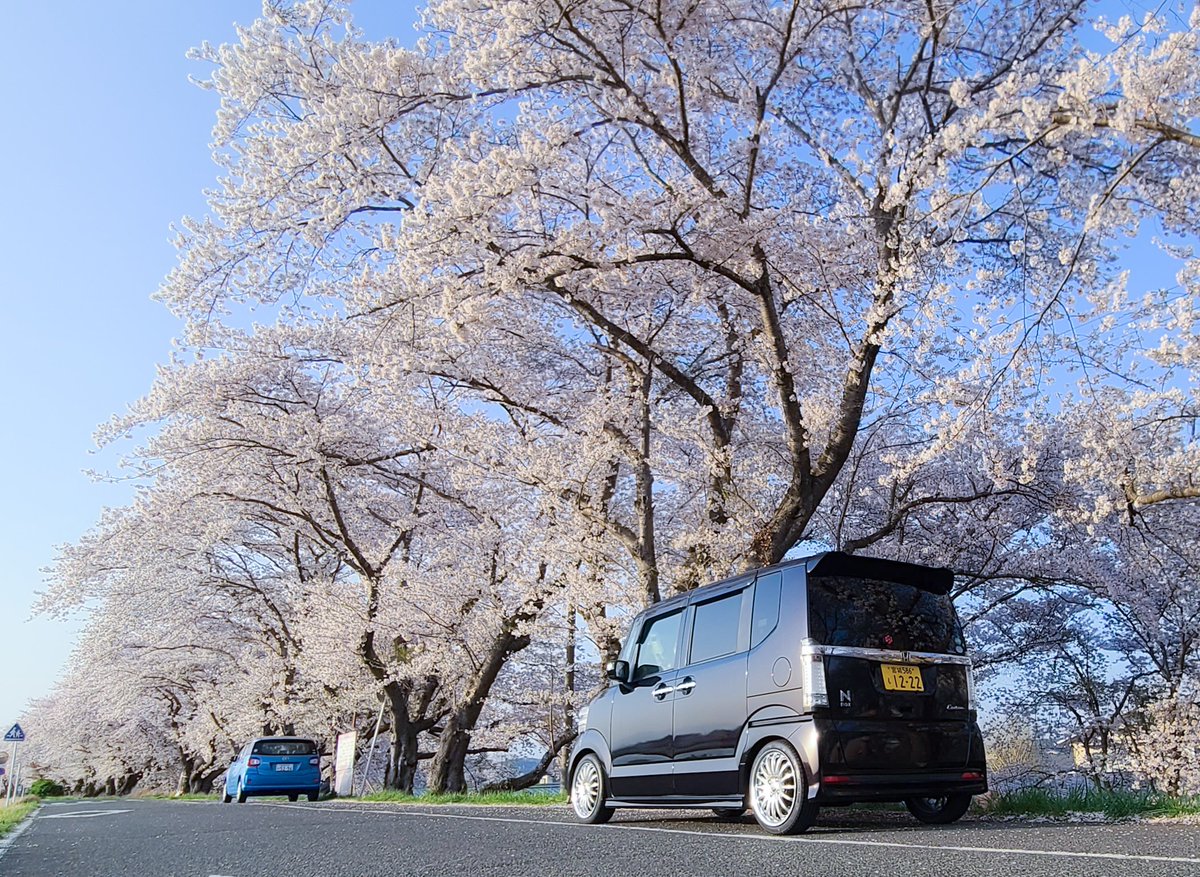 ほほほっ
ホイール最高✨
車高もう少しさげたいけど
家の入口の段差どうにかしてからだな
