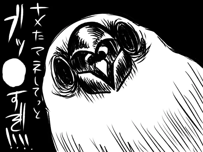 ガチ切れしてる時の文鳥はほんま怖いですよ。
⚠︎︎そのイメージで描いてます 