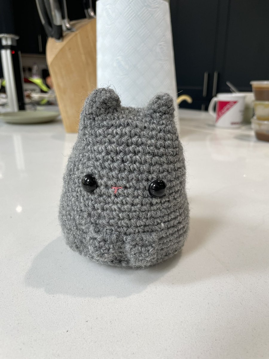 Finished!! A cute little dumpling kitty 🐱 Not perfect but he makes me smile 😊 Took more stuffing than I thought & certainly more time to build but I’m pleased 👍👍 #Educrochet #CrochetIsAwesome