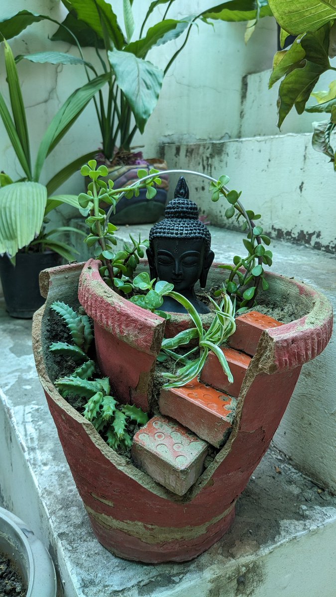 Made a DIY multi-level planter with a broken pot today and that's how it turned out. 
#GardenersWorld #DIY #gardening #GardeningTwitter #mygreenspace #gardens #baghwani