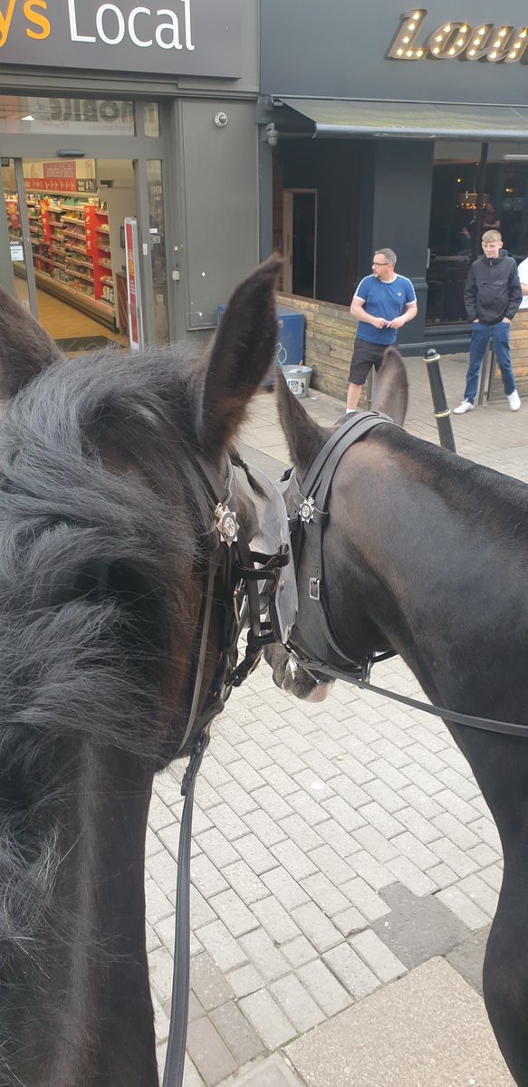 It's a football week for Teddington & Huntley! Yesterday they were at the Cheltenham vs Bristol Rovers game supporting officers. They worked their socks off engaging with the community as well as helping quell any potential disorder. Well earned days off for them now 😊 #Teamwork