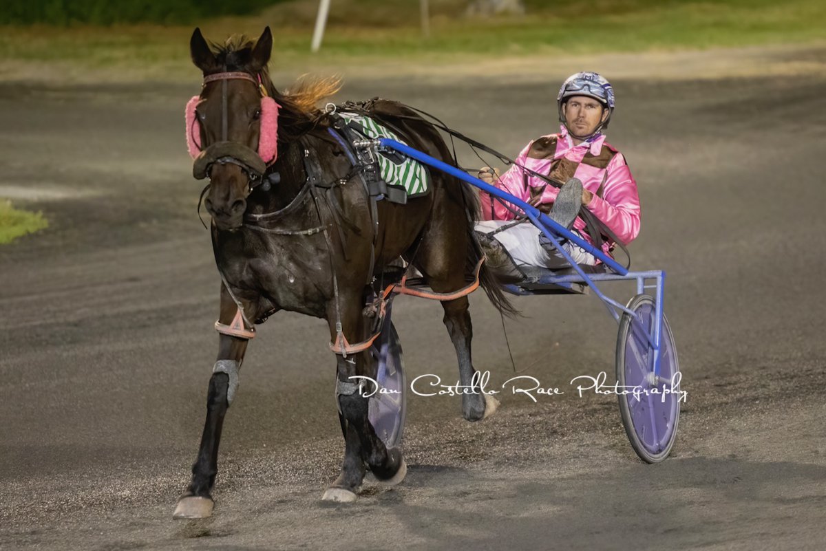 Charging home Gosling In Flight wins race 6 <a href="/redcliffe_hrc/">Redcliffe Harness Racing Club</a> with <a href="/McmullenPeter/">peter mcmullen</a> for trainer Darren Ebert