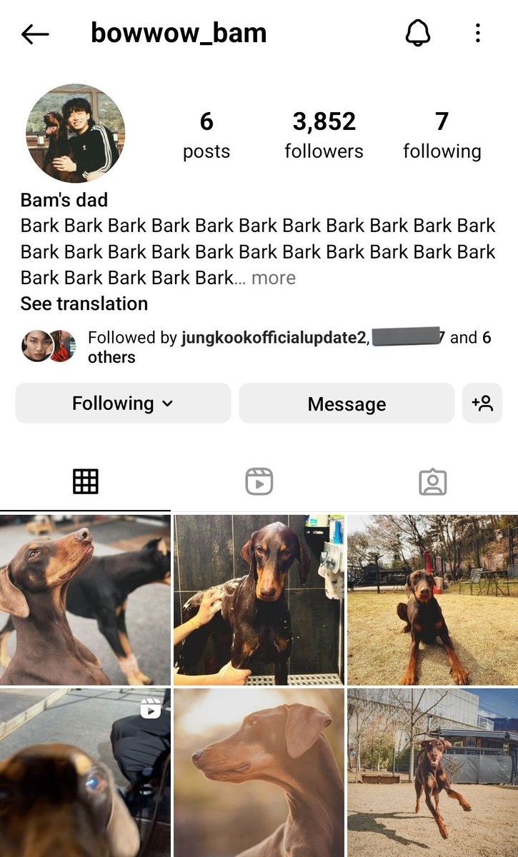 Jungkook_SNS's tweet photo. Bam’s dad opened Instagram account for bamie? (not 100% confirmed yet). The name and bio😭🥺

The account is new and following all BTS members, bts.bighitofficial and Bam’s shelter home account is also following it https://t.co/eVLJBbg53y