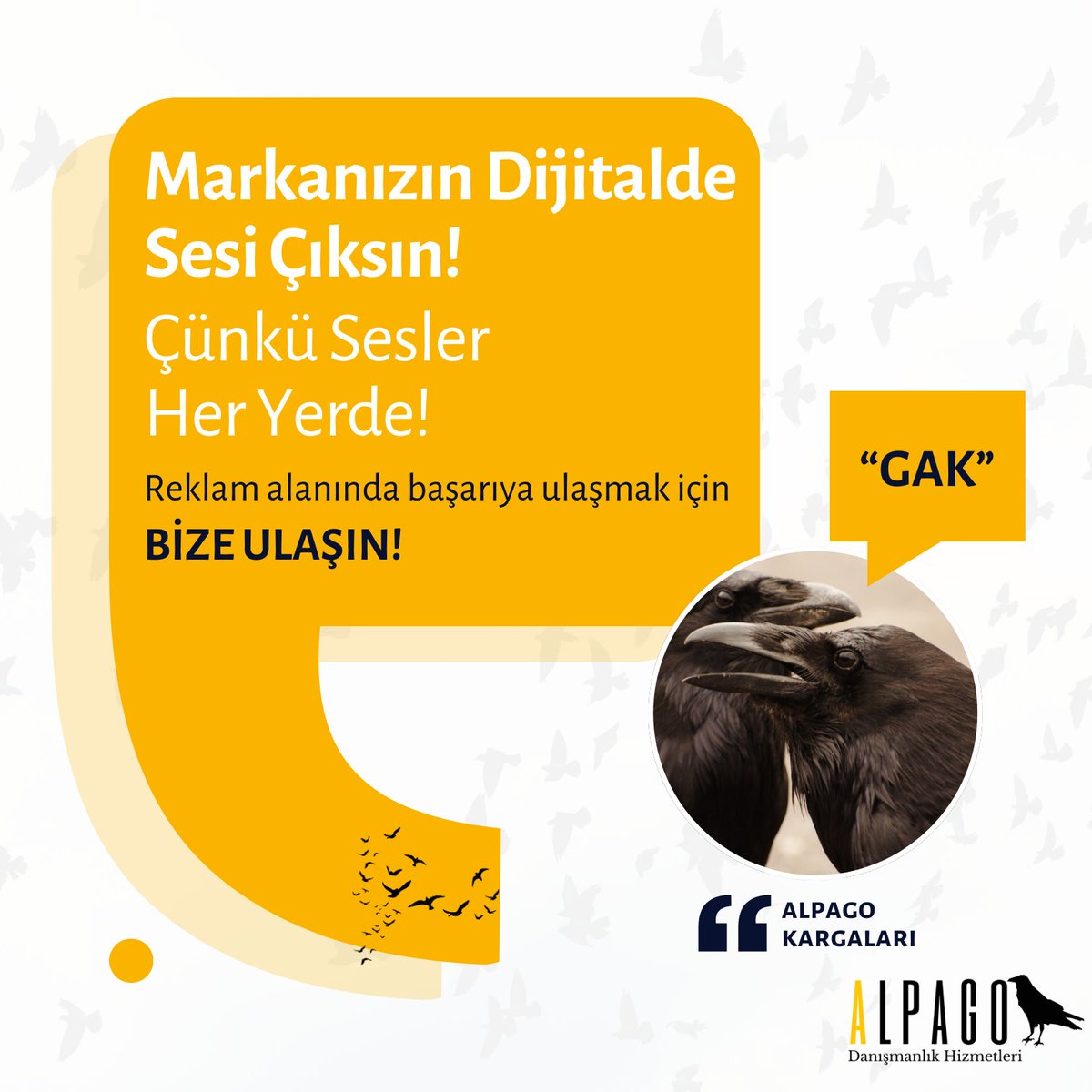 Markanızın sesi dijitalde Alpago ile çıksın!

Reklam alanında başarıya ulaşmak için bizlere ulaşabilirsiniz!

#alpago #alpagodanismanlik #sosyalmedya #reklam #strateji #sosyalmedyayönetimi