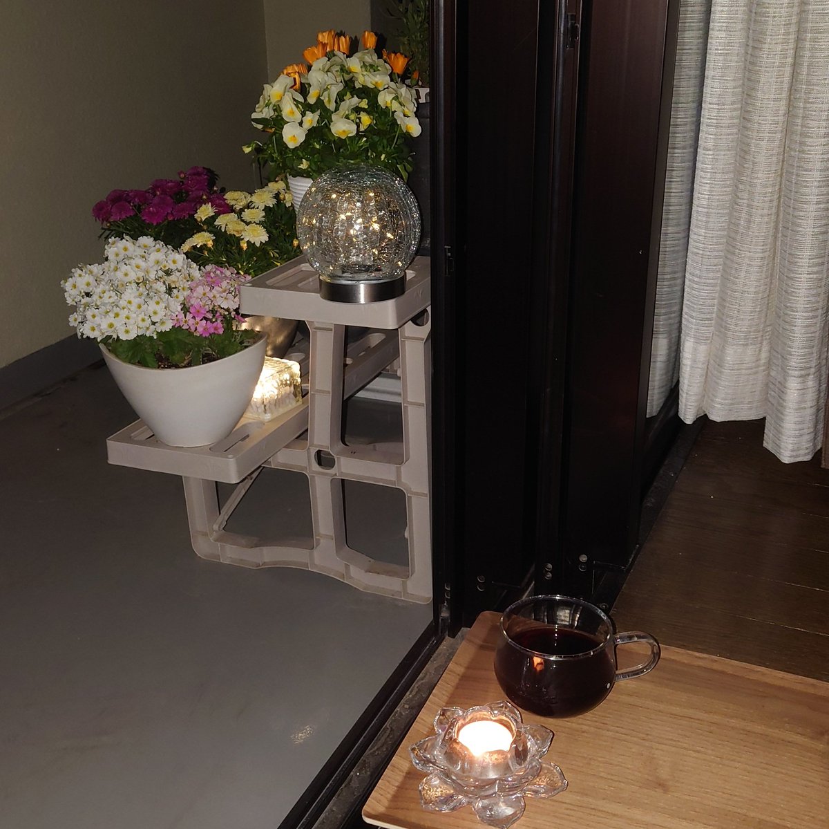 totantanto's tweet photo. 夢が一つ叶った😊✨✨
自分で育てたバルコニーの花たちを見ながら晩酌

今日あったかいですよね
サッシを開け放って、いい風
暑くなると、虫が入るから、できないこと😅
#ガーデニング
#ビオラ
#ディモルフォセカ
#プリムラマラコイデス
#マーガレット
#ラベンダー https://t.co/0nM2hpwkaQ