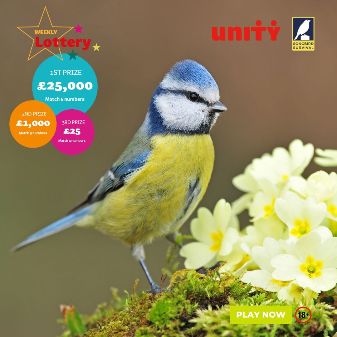 Have you given our lottery a go? You could win up to £25,000 every Friday! Better yet, you’re supporting #songbirds with your entry. 🐦💰 For more information and to sign up, visit: songbird-survival.org.uk/support-us/oth…