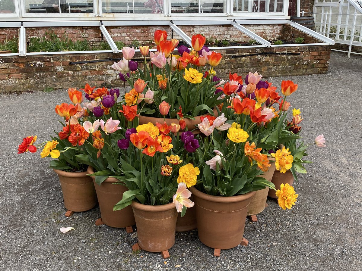 @SimonPease1 Morning 👋 Lovely photo!  You might like this amazing display I took on Friday at Kingston Lacy