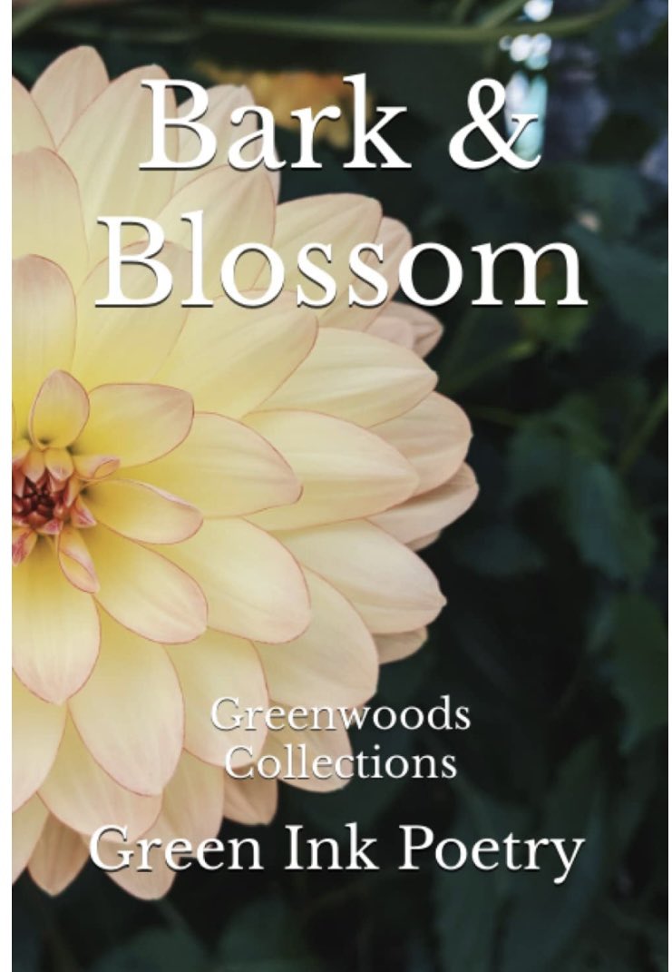 Morning! This feels like a good day to post a blossom poem… 'FLOURISH' was published in @GreenInkPress's lush volume, 'Bark & Blossom', in spring 2023. The first poem I wrote after being ill with Covid that February, I could not have been more grateful for the inspiration. 🌸🌸